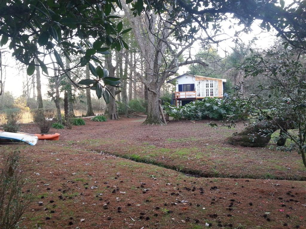 Casa Del Bosque Tigre Exterior foto